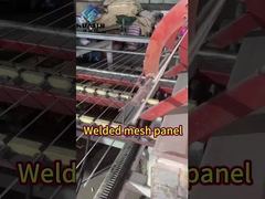 Hot Dipped Galvanized Welded Wire Mesh Reinforcing Metal Steel Mesh Panel Production Process